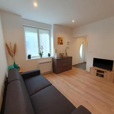 Appart'hotel, Ikimo 5 Entiers A Votre Disposition Au Choix Daire Nancy