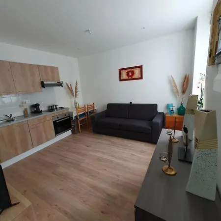 Lejlighed Appart'hotel, Ikimo 5 Entiers A Votre Disposition Au Choix Nancy