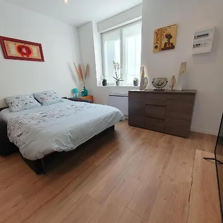 Appart'hotel, Ikimo 5 Entiers A Votre Disposition Au Choix * Nancy