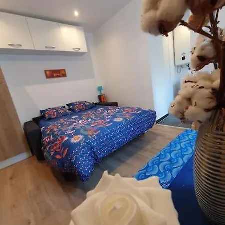 Appart'hotel, Ikimo 5 Entiers A Votre Disposition Au Choix Lejlighed Nancy