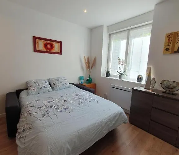 Appart'hotel, Ikimo 5 Entiers A Votre Disposition Au Choix Nancy