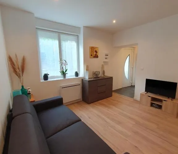 Appart'hotel, Ikimo 5 Entiers A Votre Disposition Au Choix Apartament Nancy