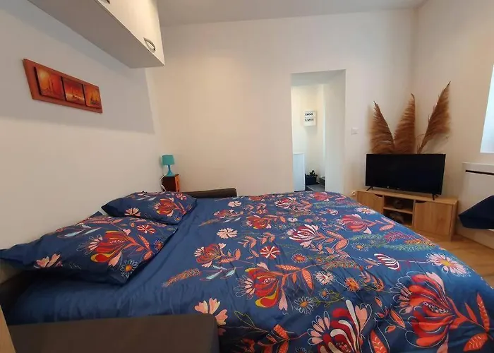 Appart'hotel, Ikimo 5 Entiers A Votre Disposition Au Choix Apartament