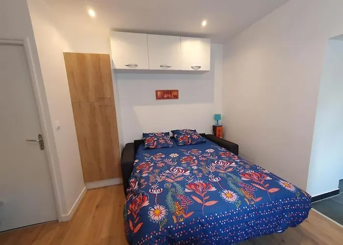 Appart'hotel, Ikimo 5 Entiers A Votre Disposition Au Choix Apartament Nancy